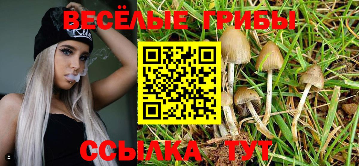 Арзамас  Псилоцибиновые грибы GOLDEN TEACHER  Псилоцибиновые грибы MAGIC MUSHROOMS  Вход с VPN 