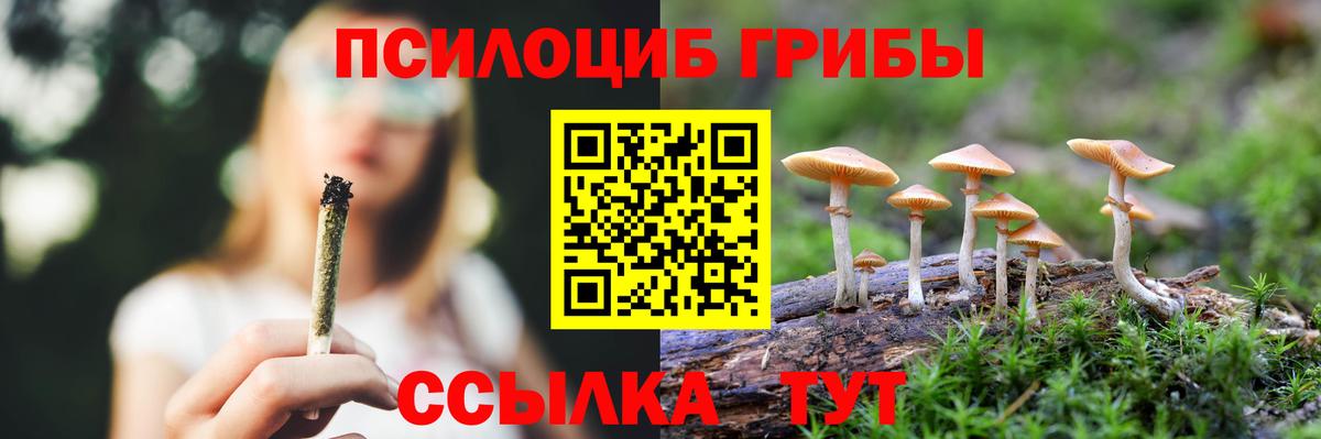 Псилоцибиновые грибы Cubensis Арзамас